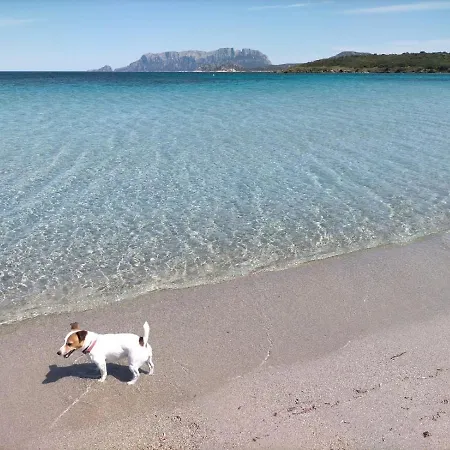 Vacanza Smeralda Όλμπια